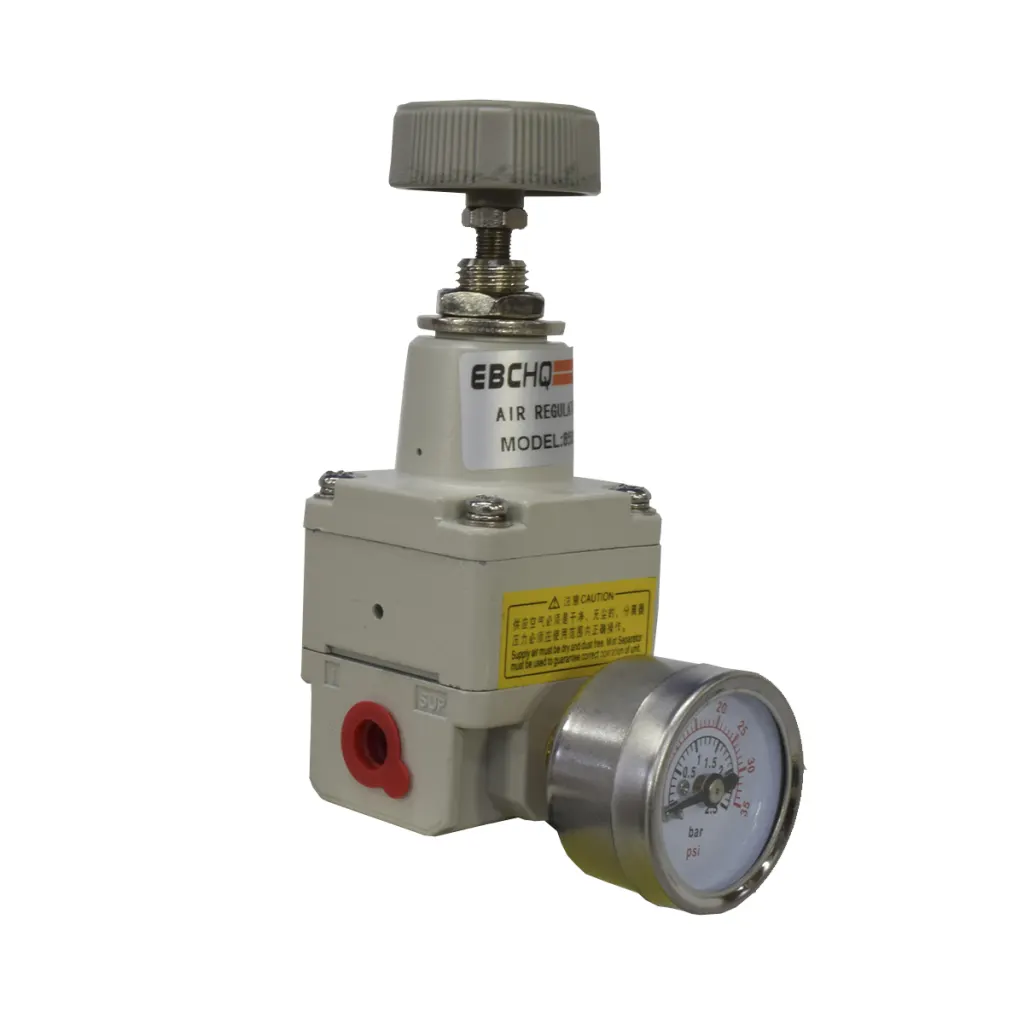 REGULADOR DE PRESION DE PRECISION 1/8" NPT STNC