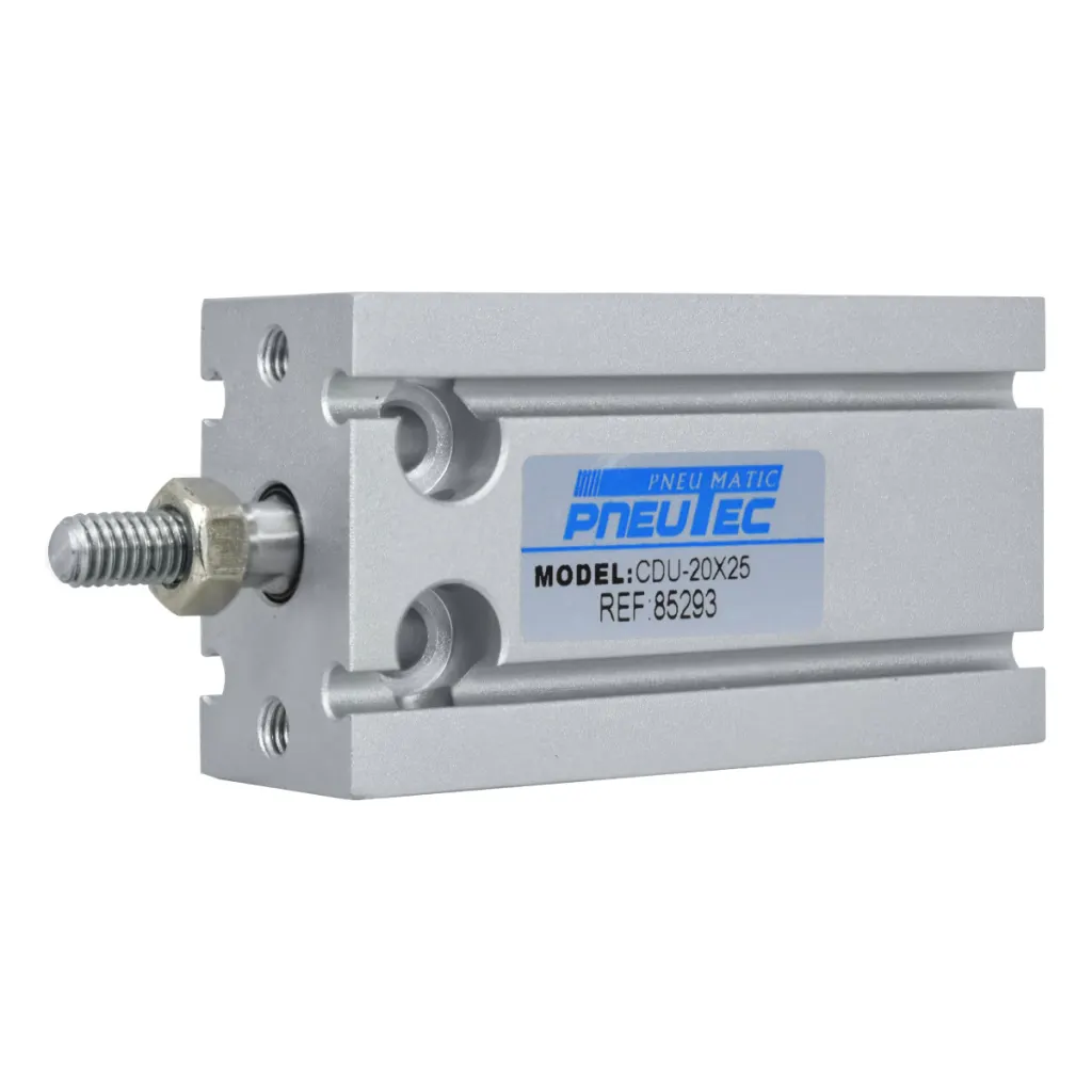 CILINDRO NEUMATICO MULTIMONTAJE CRA 25mm DIA 20mm M5 PNEUTEC