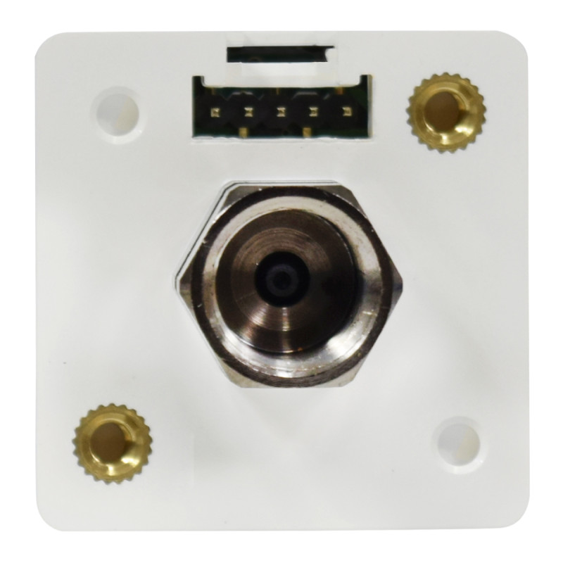 Sensor de Presión 1/8" NPT / 0 - 14.5 PSI / 12-24VDC / Out (2NPN + Analógica) / IP40 | AUTONICS - Imagen 4
