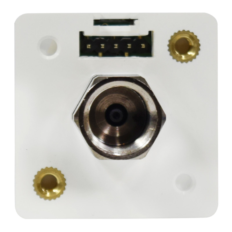Sensor de Presión 1/8" NPT / -14.5 - 14.5 PSI / 12-24VDC / Out (2NPN + Analógica) / IP40 | AUTONICS - Imagen 4