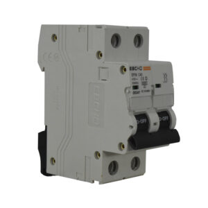 Breaker 2X63A 400V 6KA C | EBCHQ